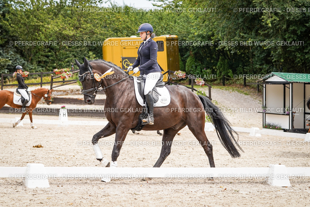 DSC04637 | Pferdegrafie