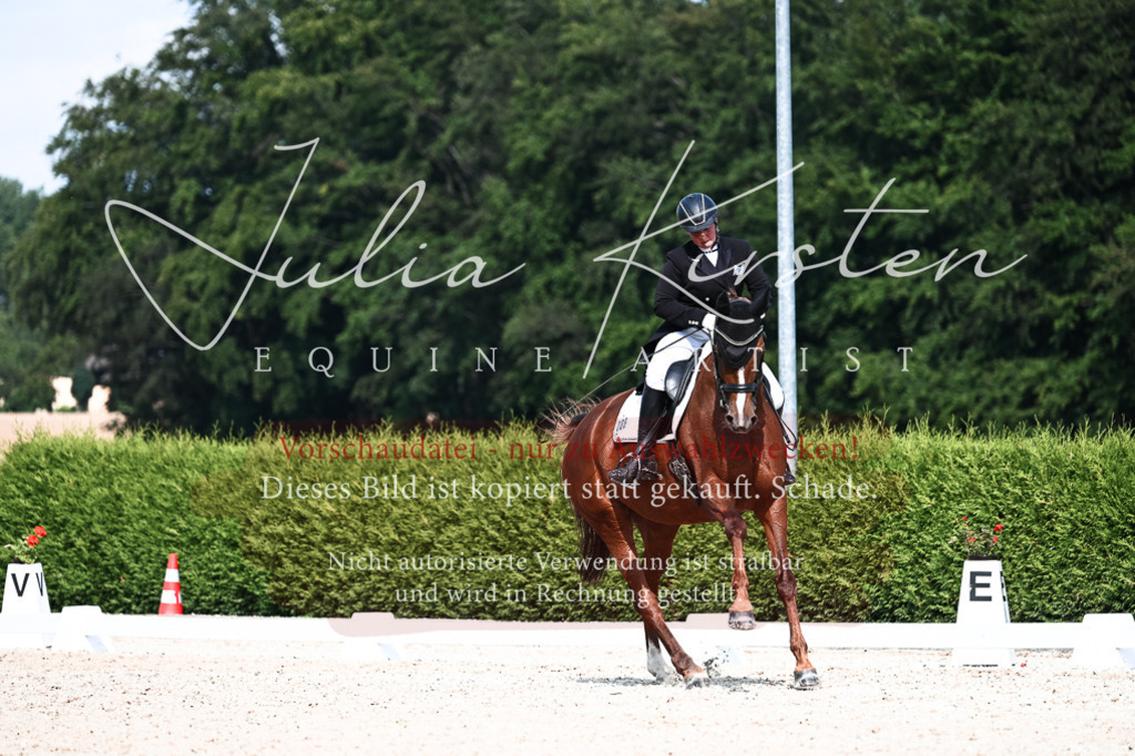 DSC_3260 | Pferde- und Turnierfotografie in Westsachsen. Pferdeportraits, Auftragszeichnungen und intuitive Kunst.