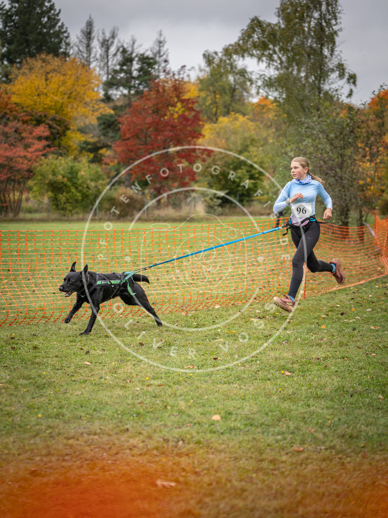 Pfotenfotografie_DV3A3377 | Hundefotografie, Tierfotograf, Pfotenfotografie, Fotoshooting Hund, Hunde Portrait, Hundesport, Hundeportraits, Heideshooting, Hunde, Sportfotograf, Hundefotograf, Turnierhundsport, THS,  - Realisiert mit Pictrs.com