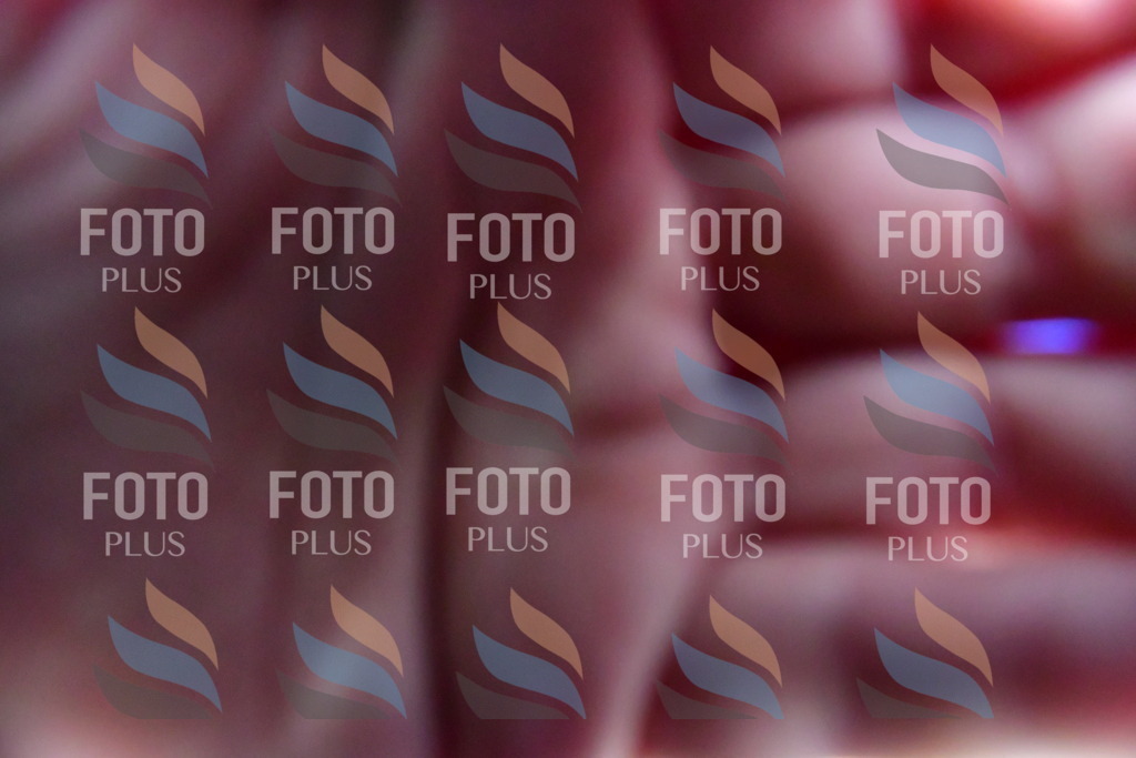 _DSC4304 | holidayphoto