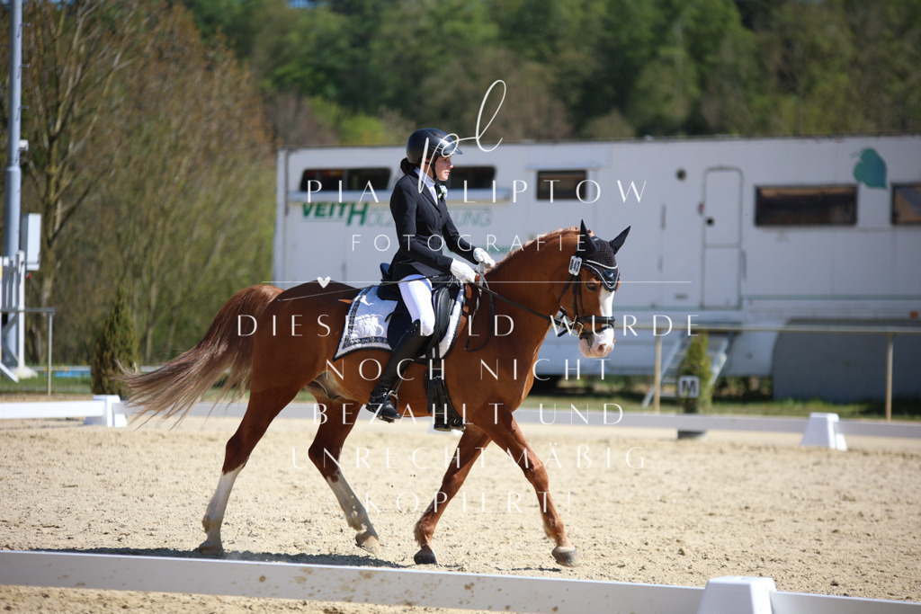 IMGT1639 | pl-fotografie