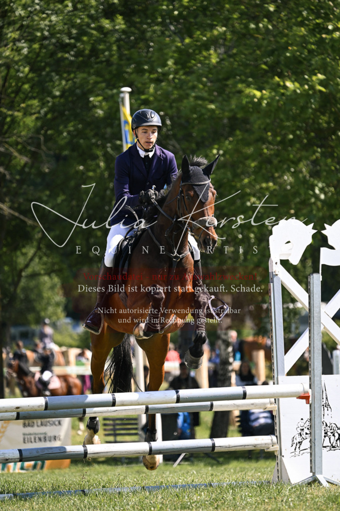 DSC_8784 | Pferde- und Turnierfotografie in Westsachsen. Pferdeportraits, Auftragszeichnungen und intuitive Kunst.