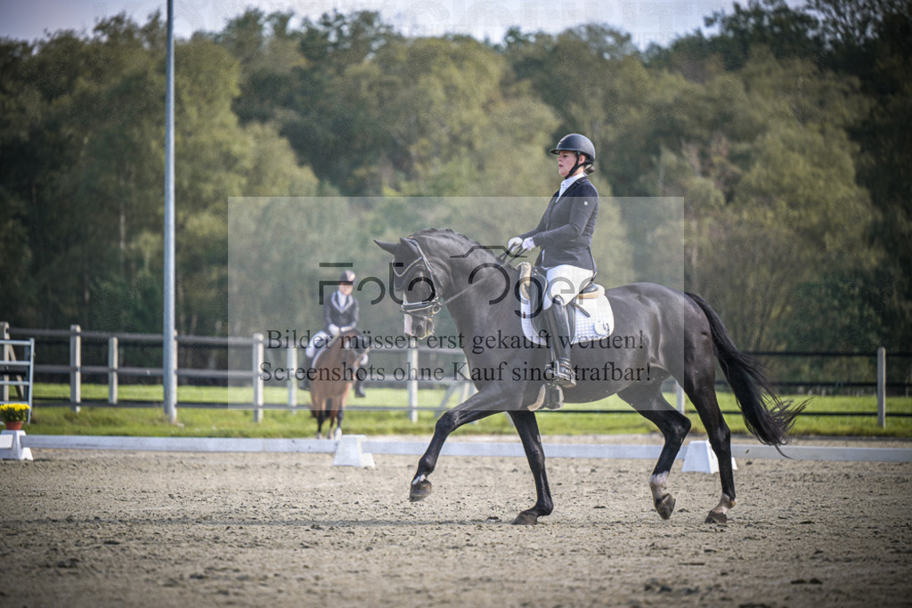 DOS_B715 | Entdecke hochwertige Reitturnierfotos von Foto Oger. Professionell, emotional und authentisch – jetzt Lieblingsmomente im Shop bestellen.Deutschlandweite Turnierfotografie. - Realisiert mit Pictrs.com