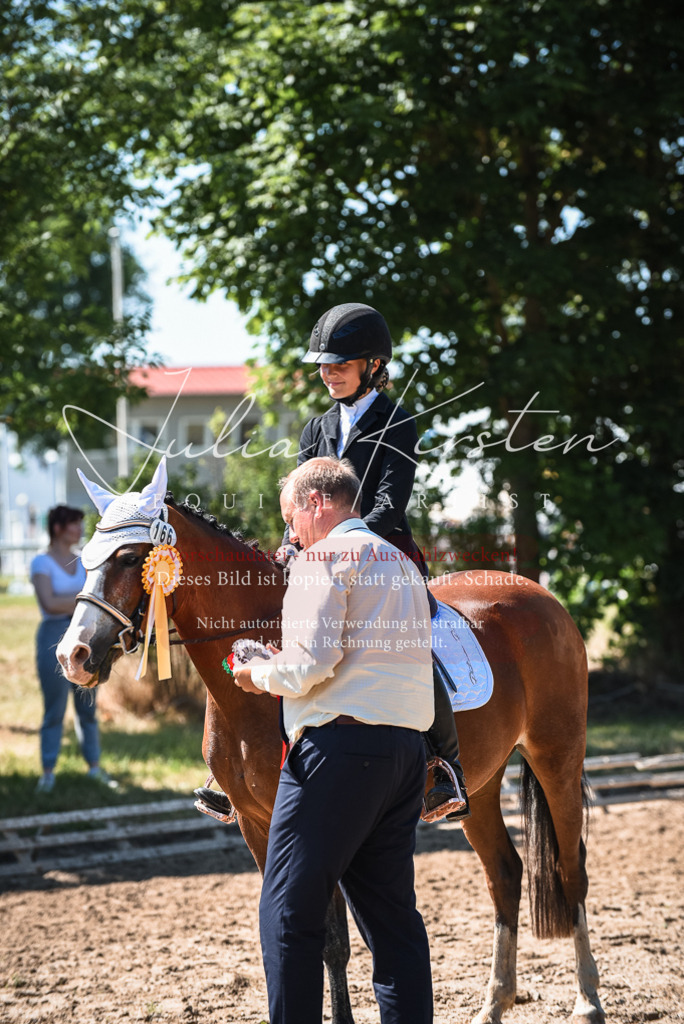 DSC_3642 | Pferde- und Turnierfotografie in Westsachsen. Pferdeportraits, Auftragszeichnungen und intuitive Kunst.