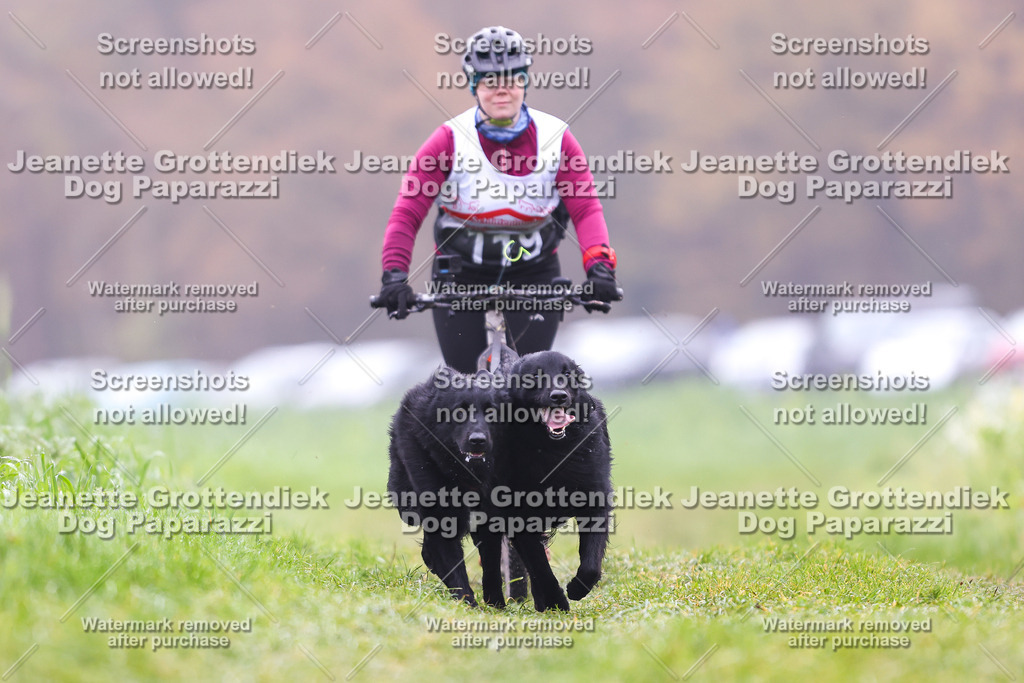 Dog Paparazzi - Visbeck 25 -110 | Dog Paparazzi Jeanette Grottendiek Fotografie & Videografie - Realisiert mit Pictrs.com