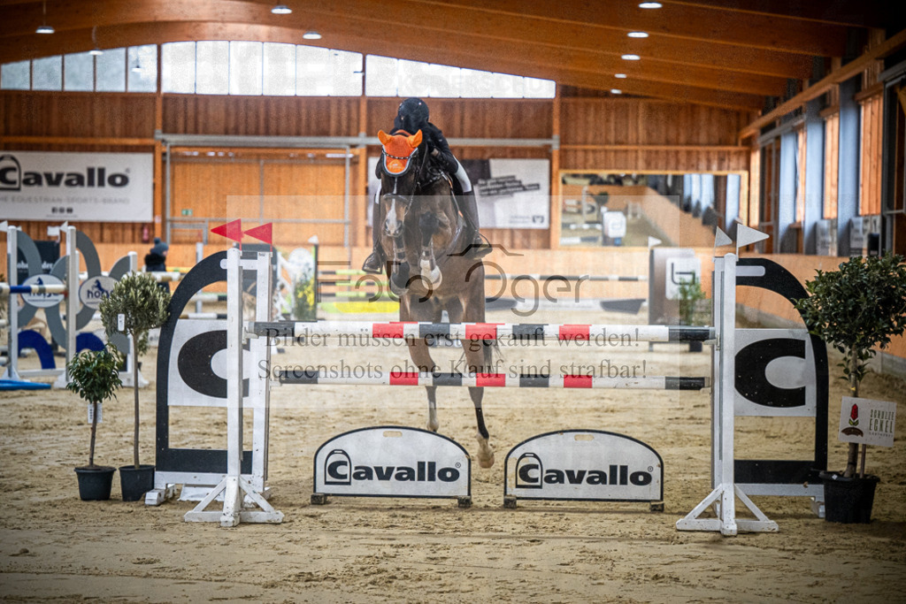 DOS_0206 | Entdecke hochwertige Reitturnierfotos von Foto Oger. Professionell, emotional und authentisch – jetzt Lieblingsmomente im Shop bestellen.Deutschlandweite Turnierfotografie. - Realisiert mit Pictrs.com
