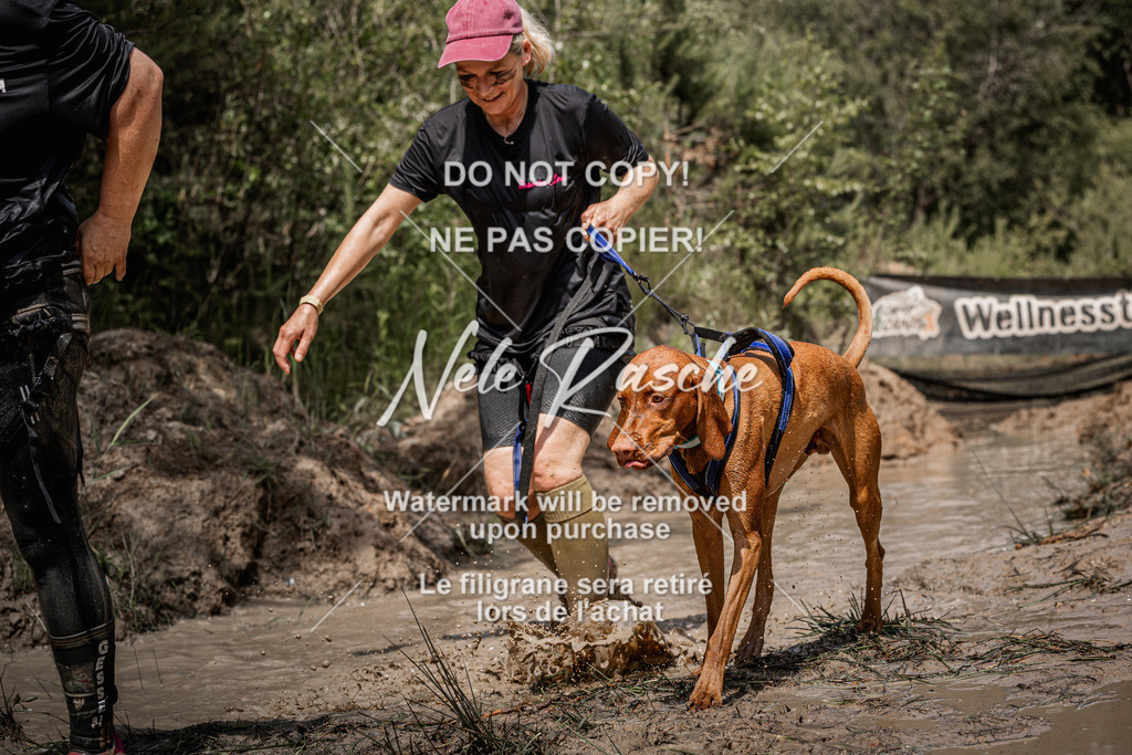 nelerasche_Hoope2026_Sa1230-1300_507 | nelerasche