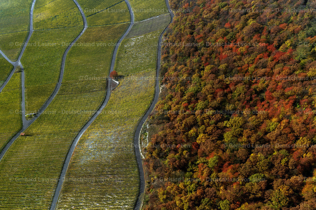 3198563 | Weinbergslandschaft an der Mainschleife bei Escherndorf und Nordheim
