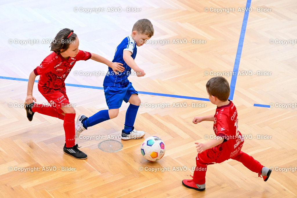 ASVÖ_ Fussball Nachwuchs Hallenturnier 2026_ SV Gallneukirchen_ 28.02.2026-154 | 28.02.2026, Gallneukirchen, AUT, ASVÖ, Fussball Nachwuchs Hallenturnier 2026, SV Gallneukirchen im Bild Teilnehmer U7©Harald Dostal / fodo.media - Realisiert mit Pictrs.com