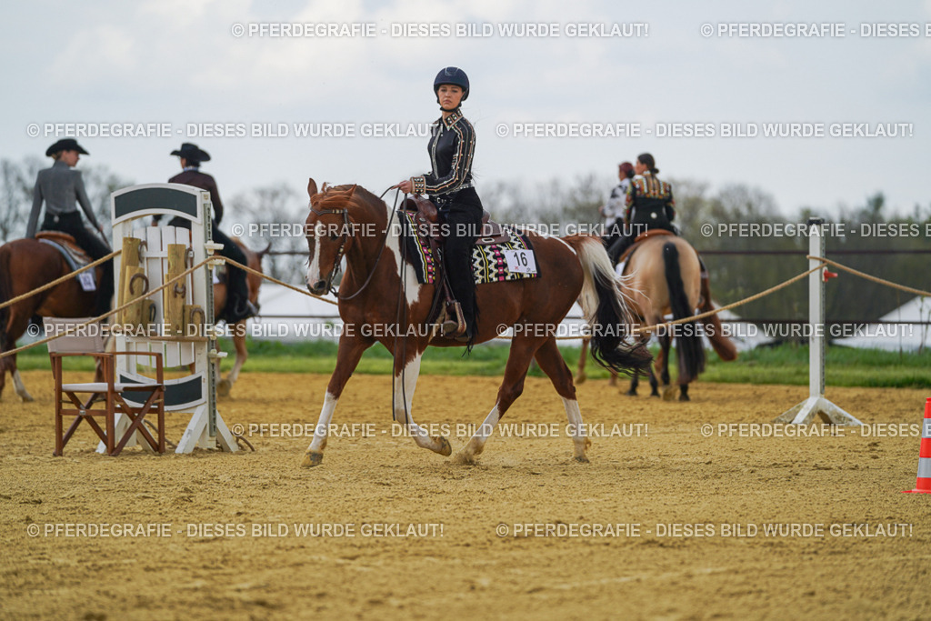 DSC06317 | Pferdegrafie