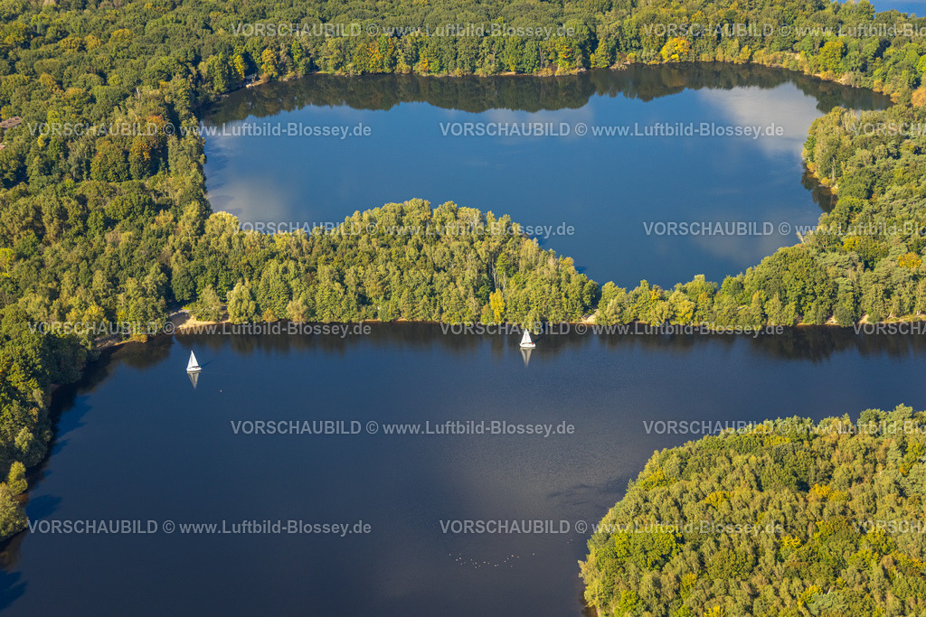Duisburg241003151 | Luftbild, Sechs-Seen-Platte, Wald und Segelboot, Wedau, Duisburg, Ruhrgebiet, Nordrhein-Westfalen, Deutschland