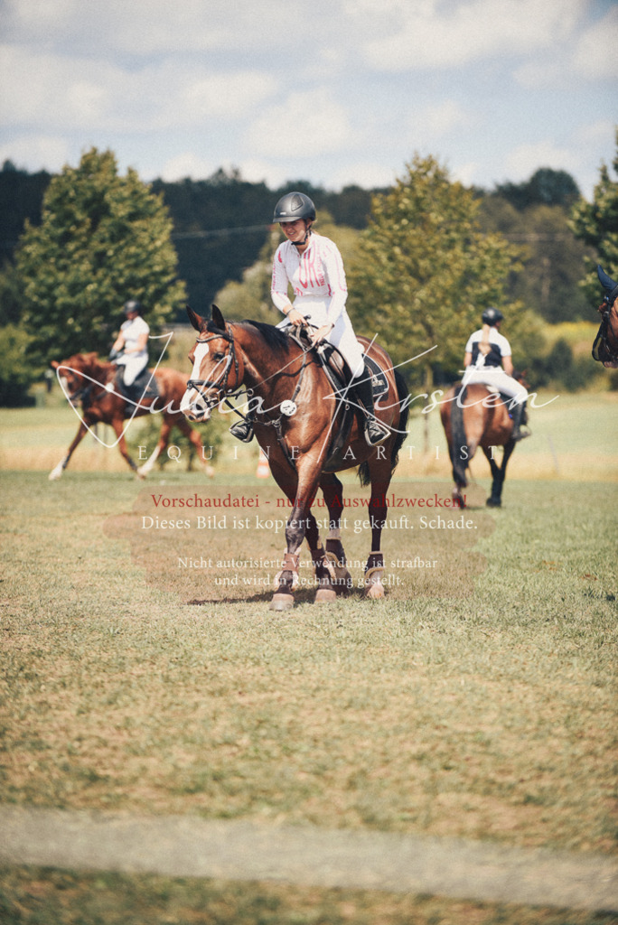DSC_6432 | Pferde- und Turnierfotografie in Westsachsen. Pferdeportraits, Auftragszeichnungen und intuitive Kunst.