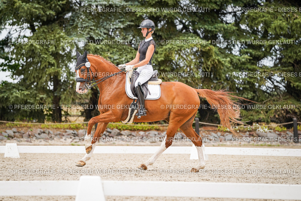 DSC07923 | Pferdegrafie