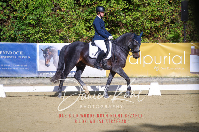 DKP40833 | Turniersportfotografie; Pferdefotografie; Dressurfotografie