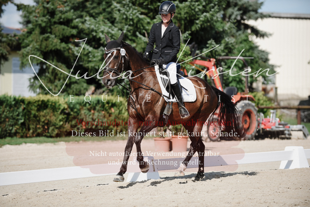 DSC_0099 | Pferde- und Turnierfotografie in Westsachsen. Pferdeportraits, Auftragszeichnungen und intuitive Kunst.