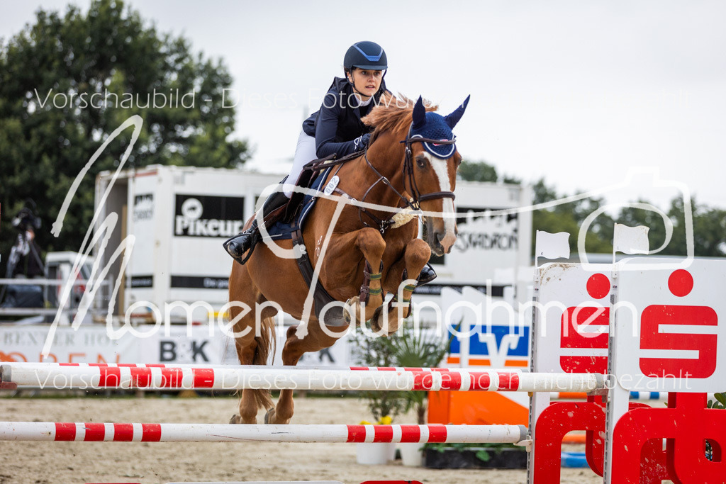 BHO-2PhSpr-M-346 | MomenTaufnahmen Pferdesportfotos