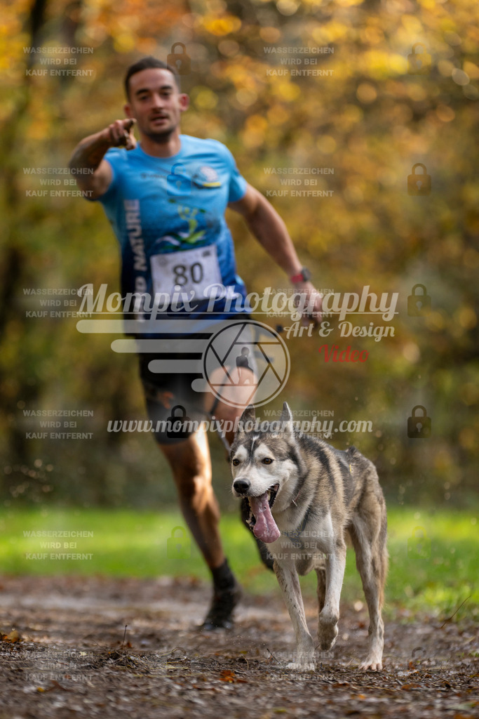 MompixPhotography_Bischwiller23_Canicross-3 | PayLife