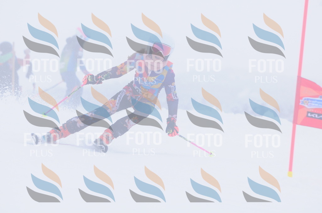 C2845 | holidayphoto