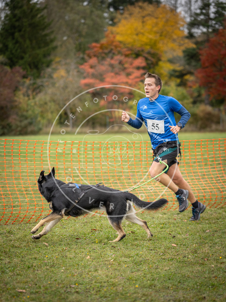 Pfotenfotografie_DV3A2574 | Hundefotografie, Tierfotograf, Pfotenfotografie, Fotoshooting Hund, Hunde Portrait, Hundesport, Hundeportraits, Heideshooting, Hunde, Sportfotograf, Hundefotograf, Turnierhundsport, THS,  - Realisiert mit Pictrs.com