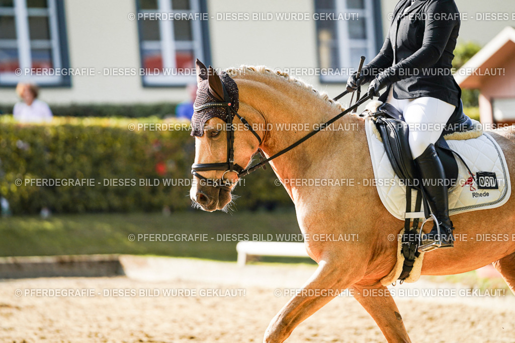 DSC05795 | Pferdegrafie