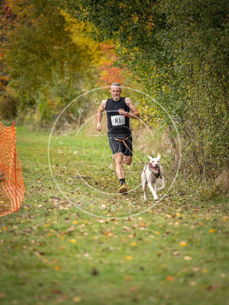 Pfotenfotografie_DV3A3034 | Hundefotografie, Tierfotograf, Pfotenfotografie, Fotoshooting Hund, Hunde Portrait, Hundesport, Hundeportraits, Heideshooting, Hunde, Sportfotograf, Hundefotograf, Turnierhundsport, THS,  - Realisiert mit Pictrs.com