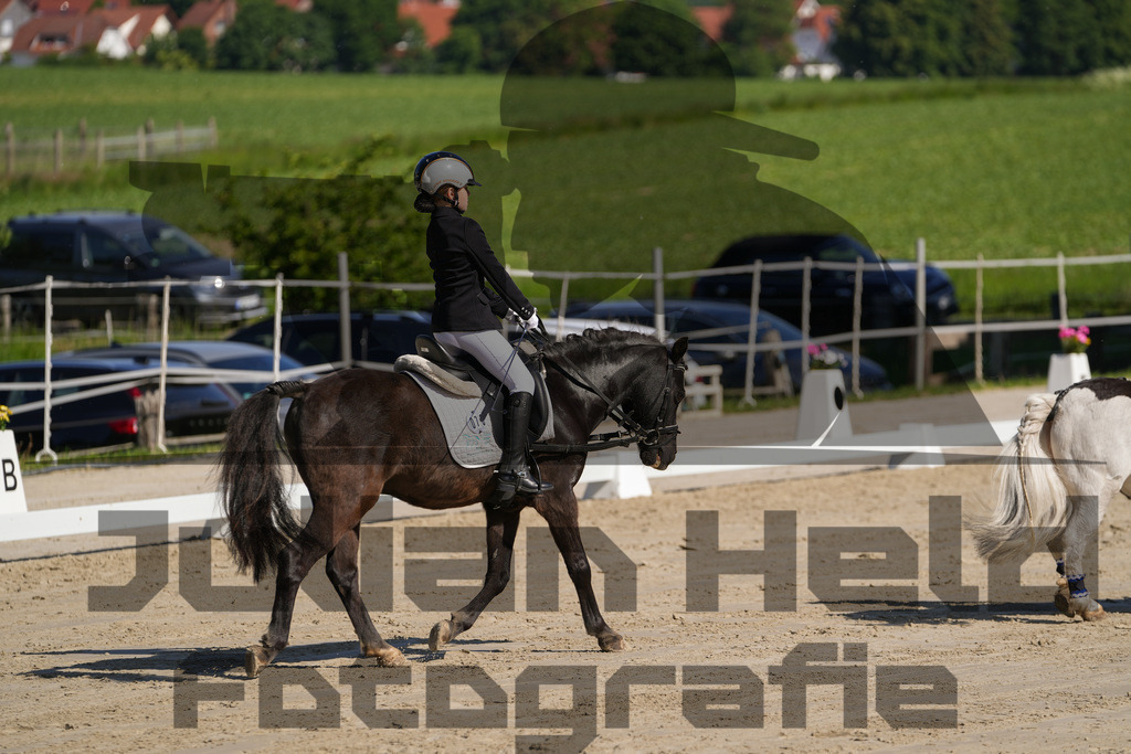 DSC02993 | Julian Held Fotografie - Realisiert mit Pictrs.com