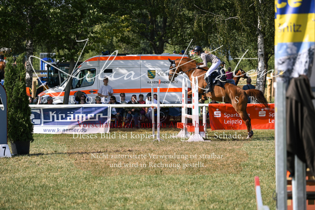 DSC_1287 | Pferde- und Turnierfotografie in Westsachsen. Pferdeportraits, Auftragszeichnungen und intuitive Kunst.
