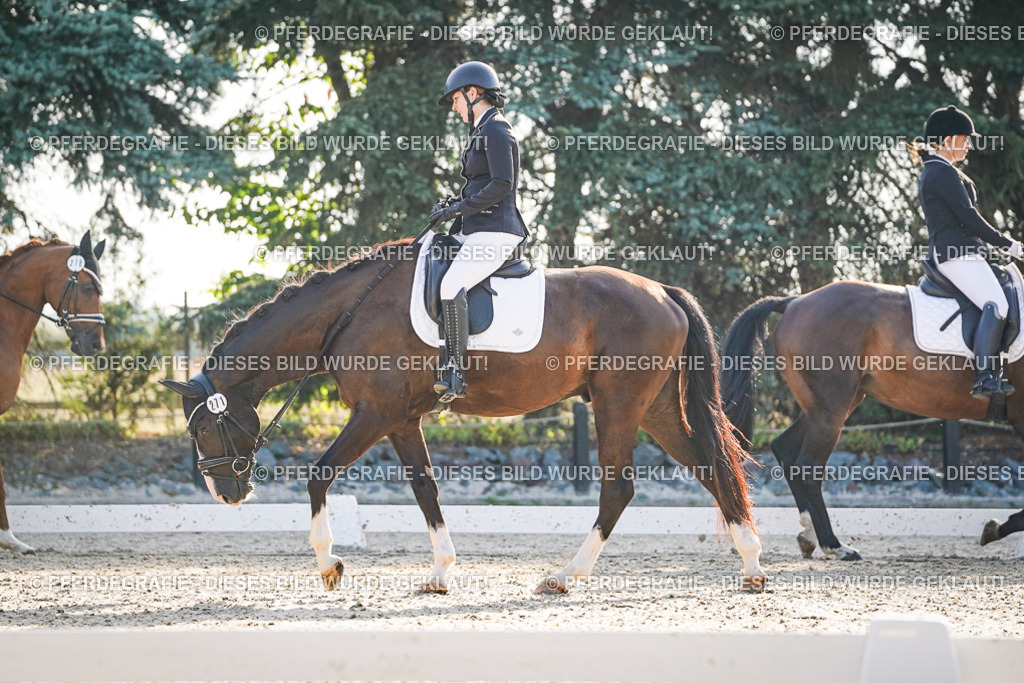 DSC07954 | Pferdegrafie