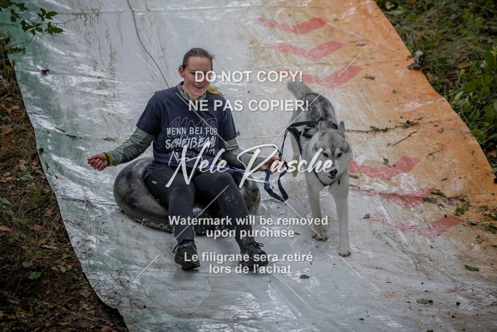nelerasche_Hunsrück_Sa1000-1030_266-final | nelerasche