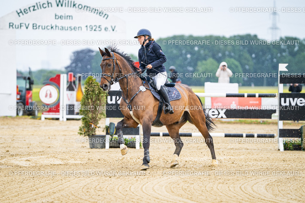 DSC08796 | Pferdegrafie