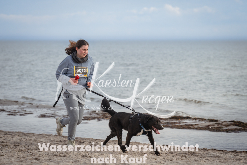 1230_ZZ96939 | kk-dogfotos