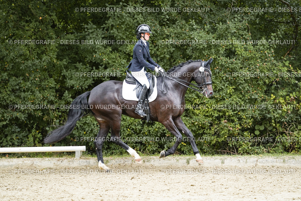 DSC07098 | Pferdegrafie