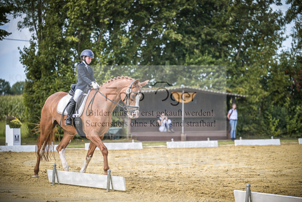 DOS_5806 | Entdecke hochwertige Reitturnierfotos von Foto Oger. Professionell, emotional und authentisch – jetzt Lieblingsmomente im Shop bestellen.Deutschlandweite Turnierfotografie. - Realisiert mit Pictrs.com