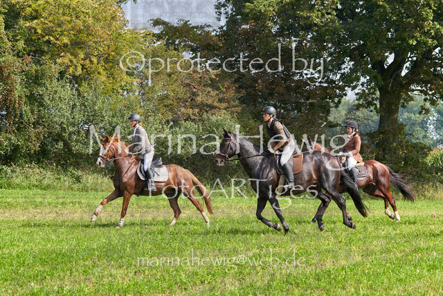 09-23 Jagd Perdöl_MCH0180_Marina Hewig | Fotografie, FotoArt, PferdesportArt, Pferdesportfotografie, Landschaftsfotografie, Reisefotografie, Reise, Pferde - Realisiert mit Pictrs.com