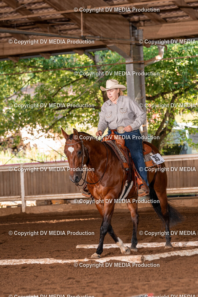 Erbach Tag 2-71 | dv-media-shop - Realisiert mit Pictrs.com