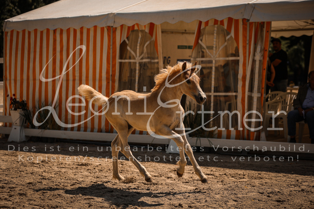 06.DoH00084 | Leoni Ertmer Photography - Realisiert mit Pictrs.com