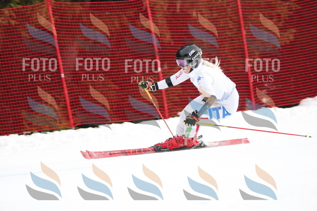 D4898 | holidayphoto