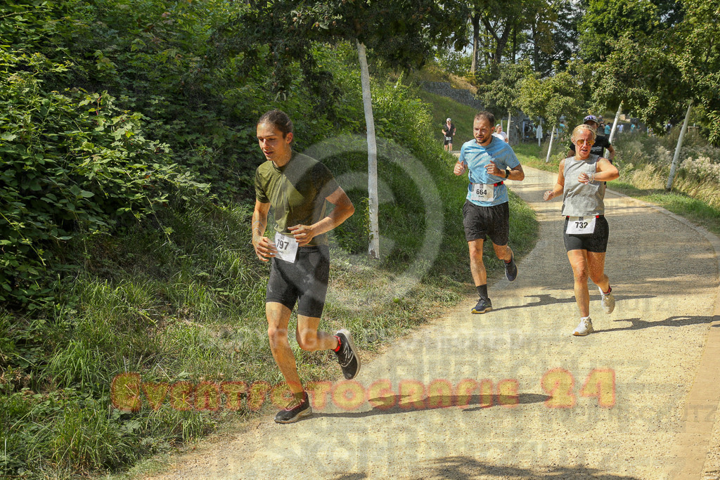 250824_1454_EX1_7987 | Sportfotografie im Rhein-Sieg Kreis, Köln, Bonn, NRW, Rheinland Pfalz, Hessen, etc. Unser Tätigkeitsfeld umfasst den Laufsport vom Volkslauf über den Marathon, Duathlon, Triathon bis zum Ultralauf wie Kölnpfad Ultra oder Schindertrail.