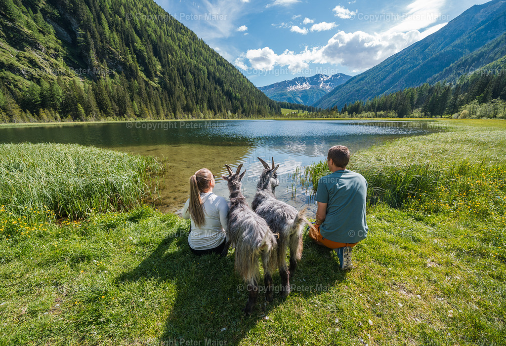 Rent_a_Goas_2024-1351 | piet_flosse