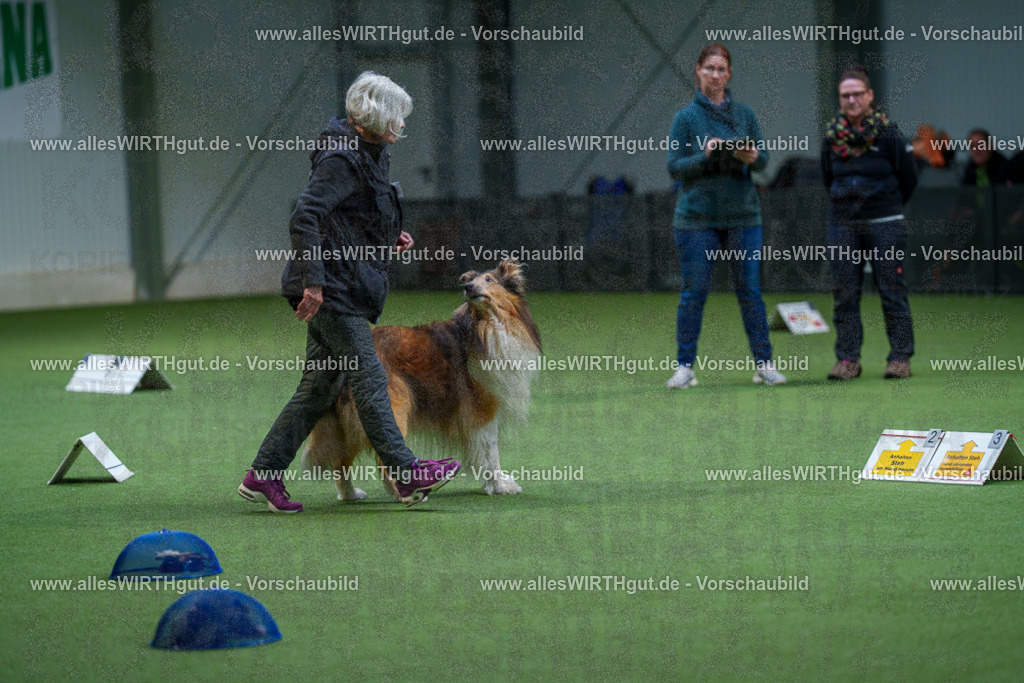 7R506254 | Professionelle Tierfotografie in Mönchengladbach von Daniel Wirth (allesWIRTHgut). Liebevolle & natürliche Bilder von Hunden & Katzen für unvergessliche Erinnerungen.