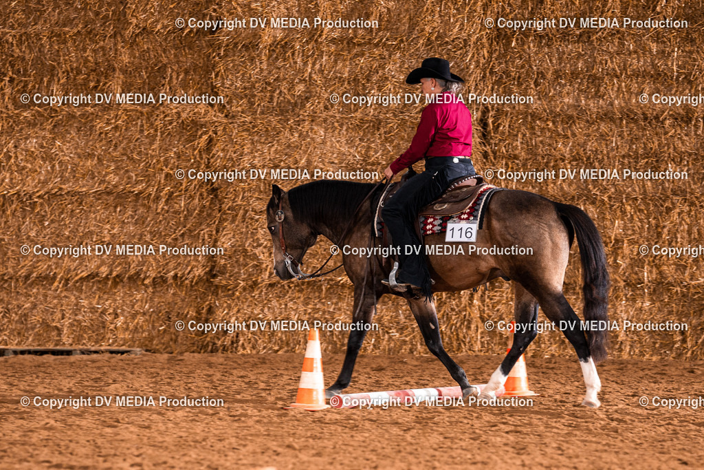 Balingen Tag 1-868 | dv-media-shop - Realisiert mit Pictrs.com