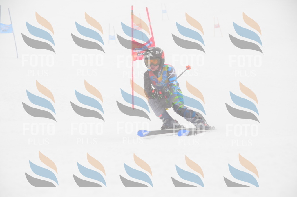 C0828 | holidayphoto