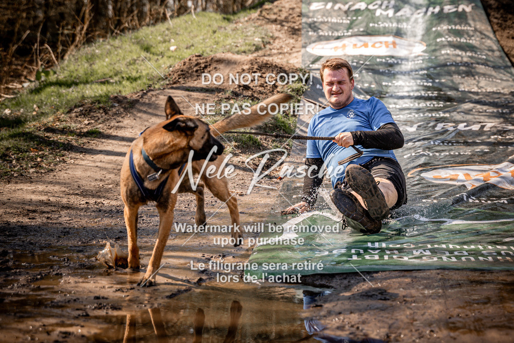 nelerasche_Hulsbeek_So1200-1230_136 | nelerasche