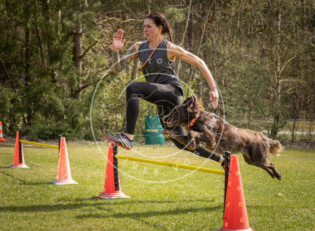 Pfotenfotografie_DV3A6230 | Hundefotografie, Tierfotograf, Pfotenfotografie, Fotoshooting Hund, Hunde Portrait, Hundesport, Hundeportraits, Heideshooting, Hunde, Sportfotograf, Hundefotograf, Turnierhundsport, THS,  - Realisiert mit Pictrs.com