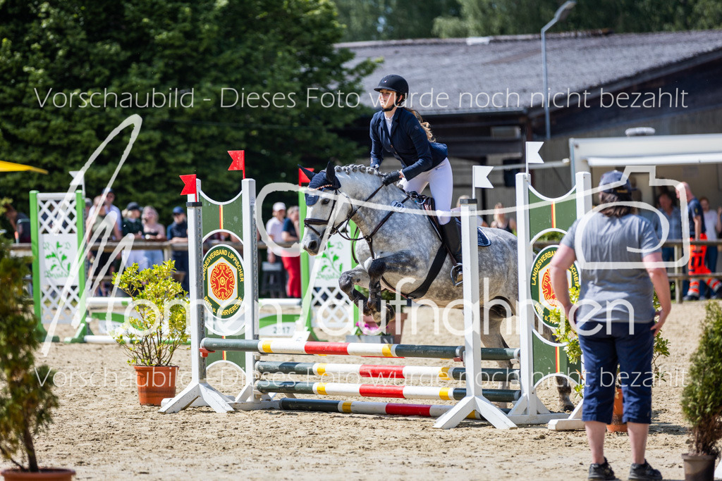 Donop24-SprRW-021 | MomenTaufnahmen Pferdesportfotos