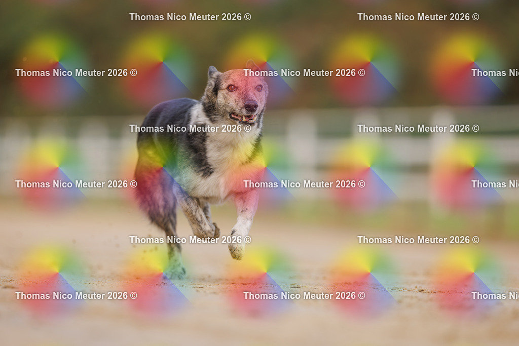 Thomas_Nico_Meuter(C)_03. Oktober 2026_223A5422 | Bild von Thomas Nico Meuter - Realisiert mit Pictrs.com