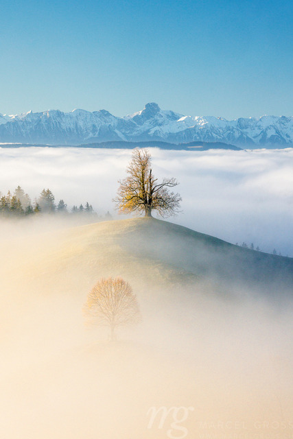 Nebelschwaden im Herbst im Emmental | Die ideale Geschenkidee für Naturliebhaber. Naturbilder von Marcel Gross Photography für ihr Zuhause in den verschiedensten Formaten und Materialien. - Realizado com Pictrs.com