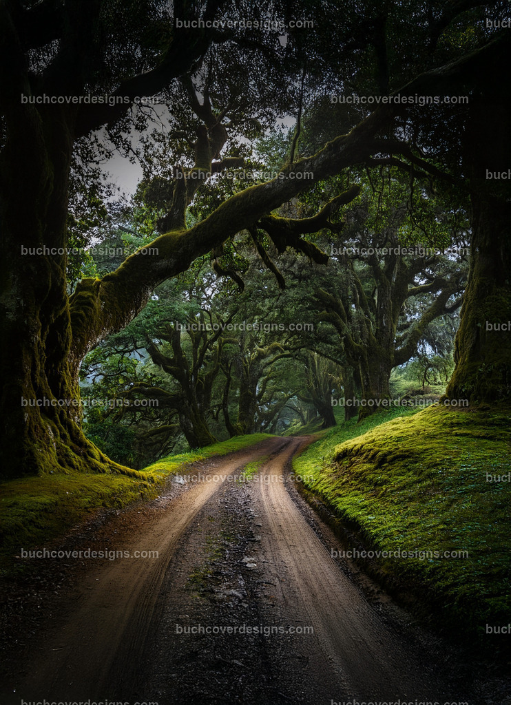 Unbenannt (13) | Entdecken Sie kreative Buch Cover Designs für Self-Publishing-Autoren und Verlage! Unsere maßgeschneiderten Designs ziehen Leser an und bringen Ihre Geschichten visuell zum Leben. Lassen Sie uns Ihr perfektes Cover gestalten!