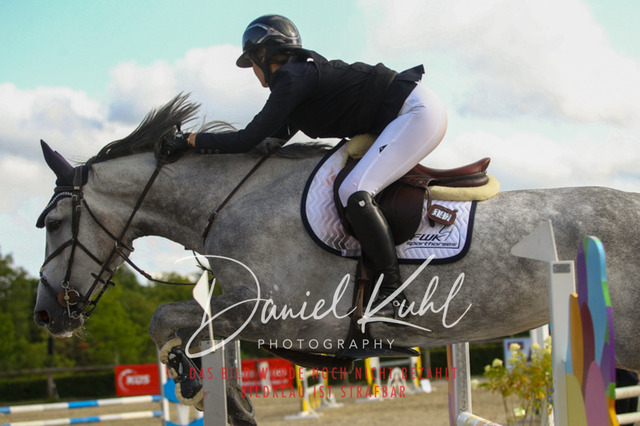 DKP43942 | Turniersportfotografie; Pferdefotografie; Dressurfotografie