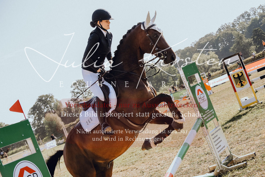 DSC_5634 | Pferde- und Turnierfotografie in Westsachsen. Pferdeportraits, Auftragszeichnungen und intuitive Kunst.